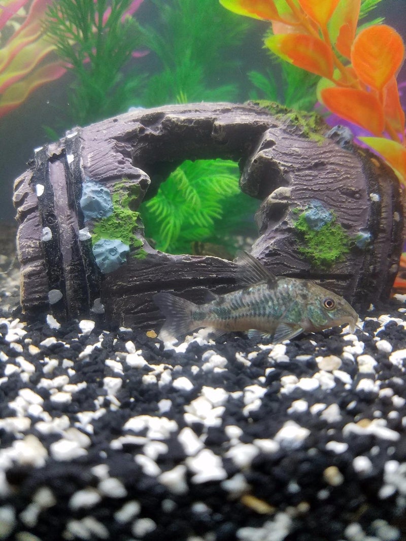 Superdream Fish Tank Aquarium Cave Resin Broken Barrel Ornament Landscape Decor - Image 4